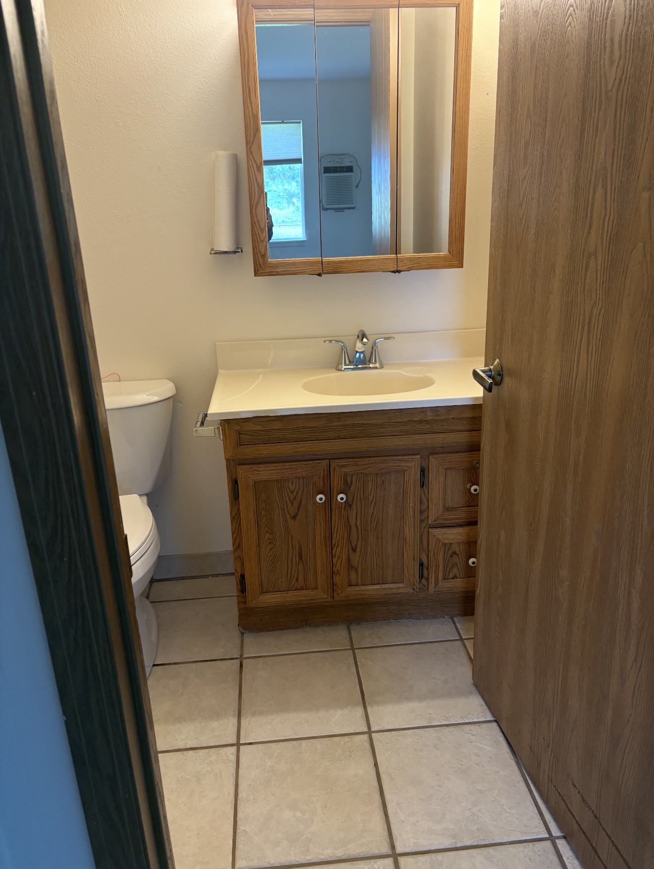 Private apartment bathroom vanity at Spring Creek Chalet