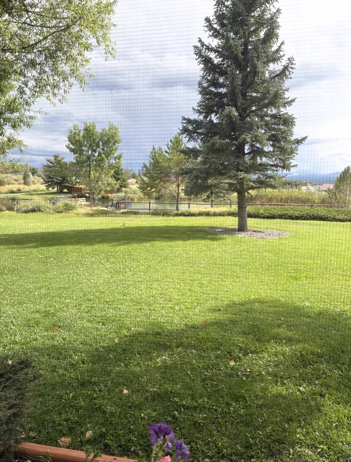 Bedroom window view of the lawn, trees and pond at Spring Creek Chalet