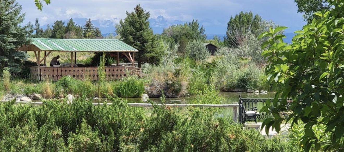 Fishpond and covered gazebo surrounded by greenery