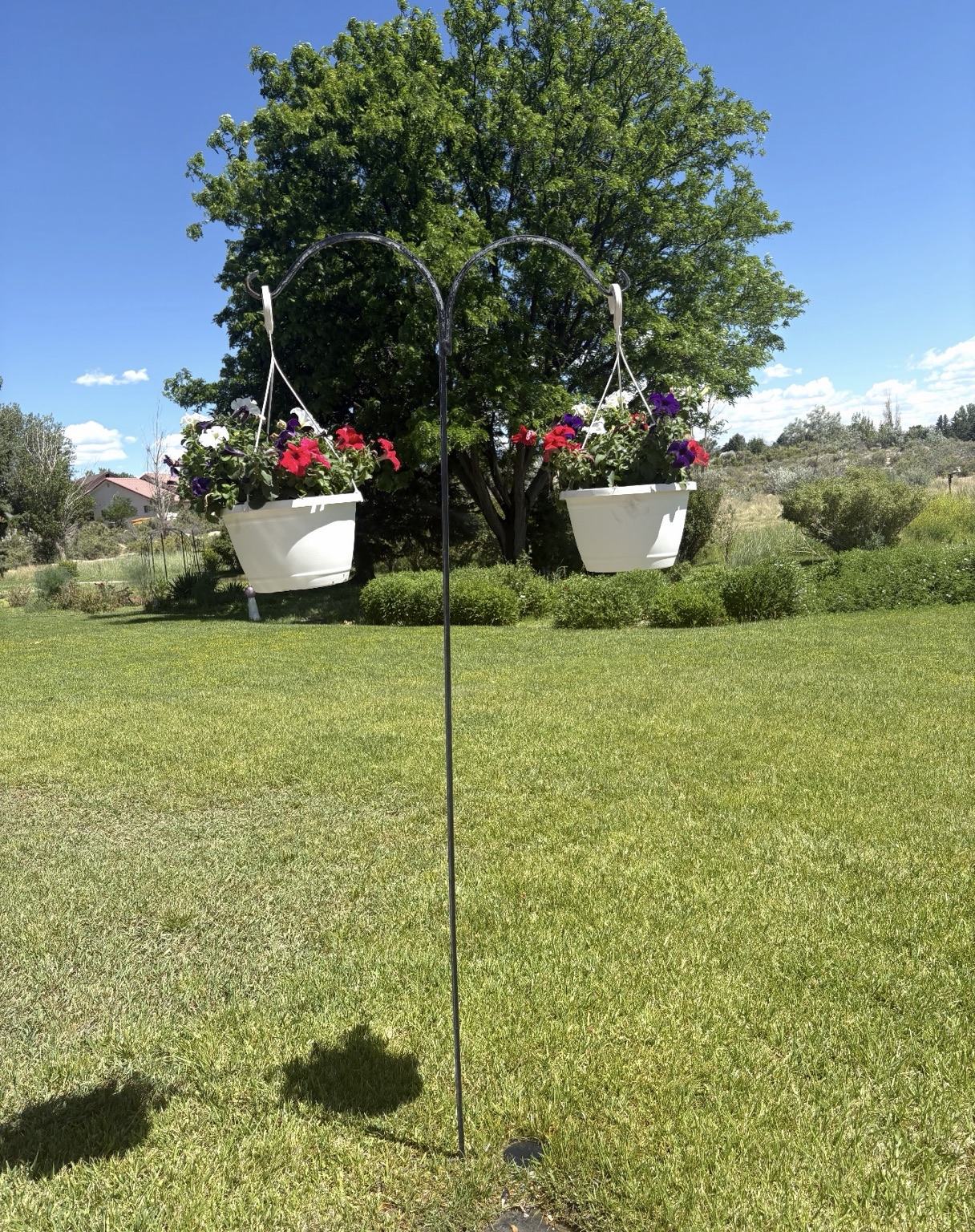 Flowering baskets and green lawn on the Spring Creek Chalet grounds
