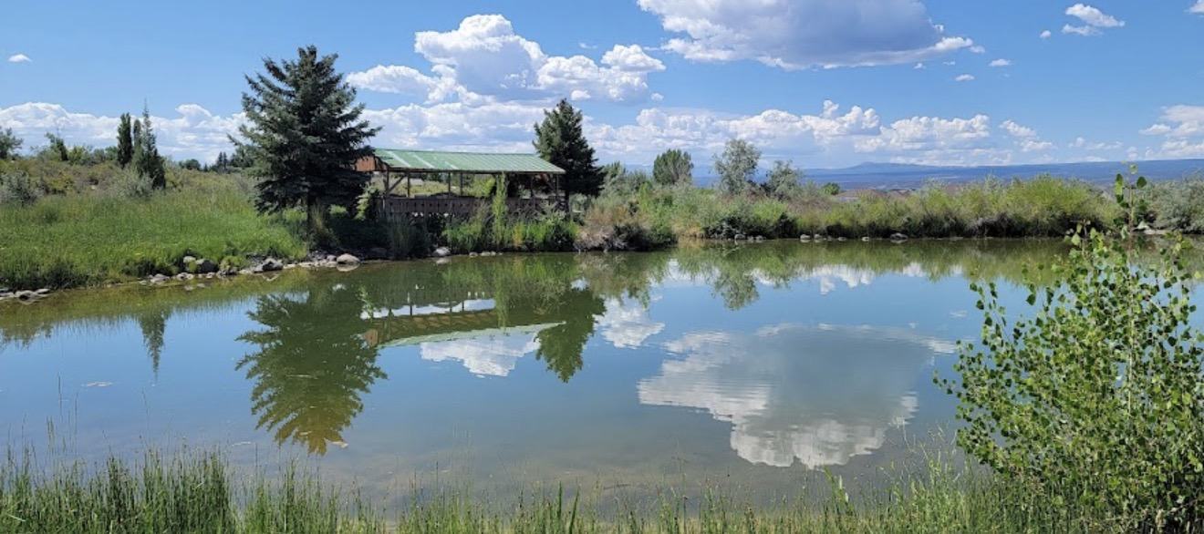 Fishpond, covered gazebo and mountain views on the grounds of Spring Creek Chalet