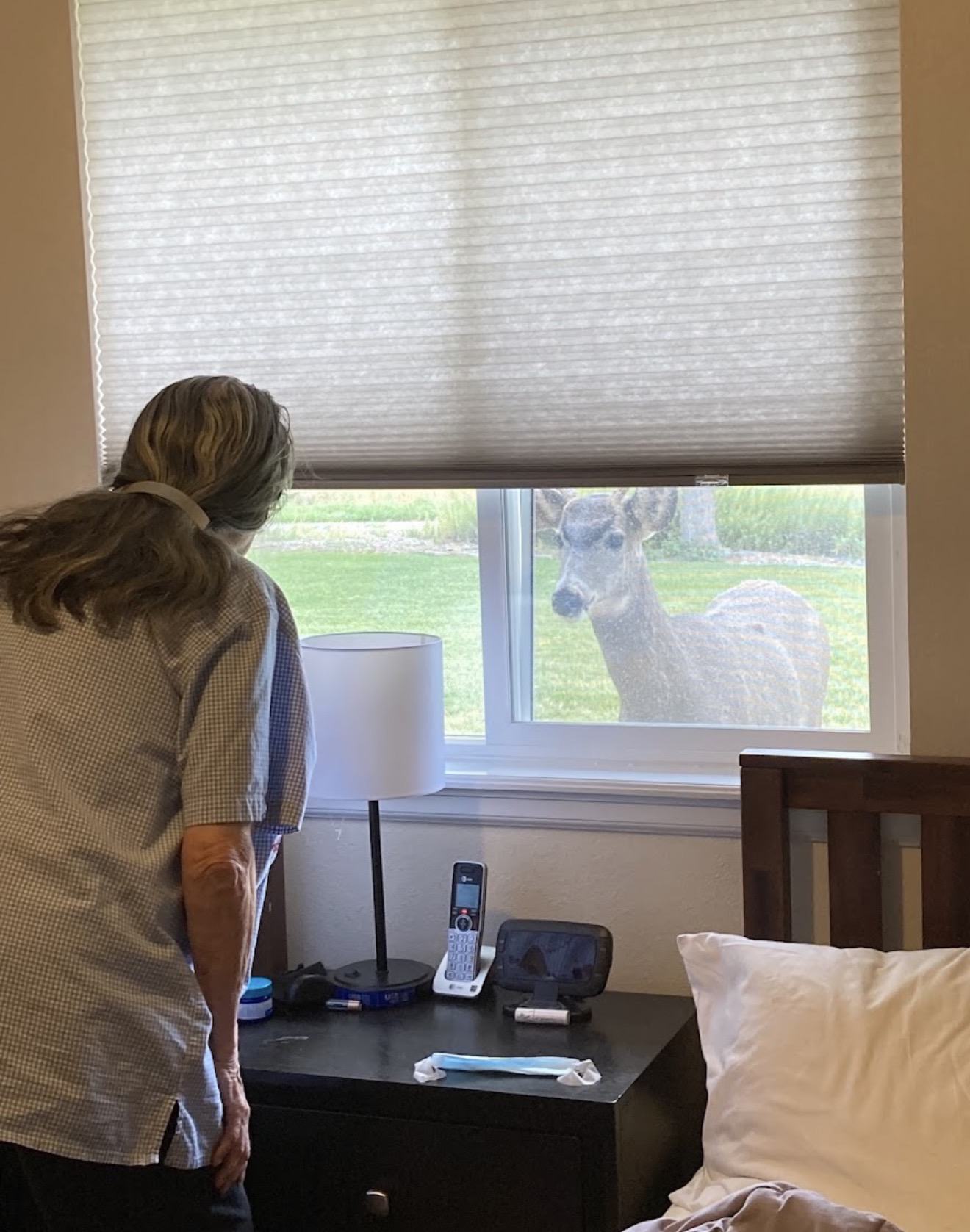 Resident enjoying a close-up visit from a deer outside her window