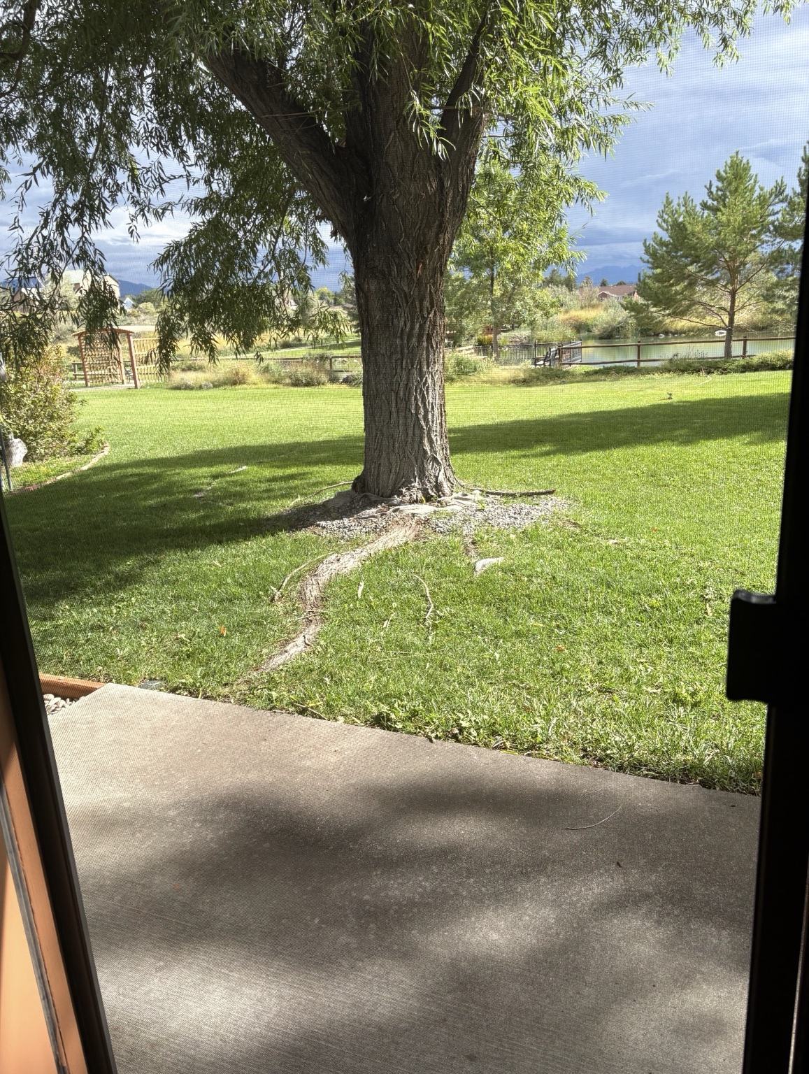 South apartment patio view across the lawn toward the pond